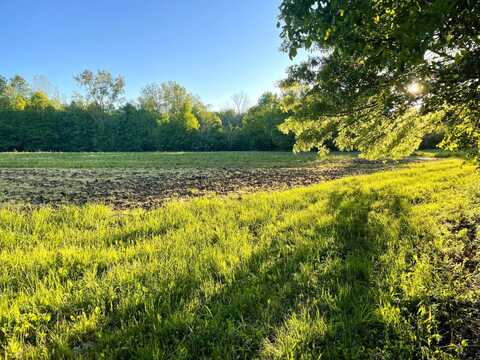 V/L 42nd Street, Lawrence, MI 49064
