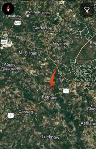 40 acres on Hammond Branch, Bethune, SC 29009