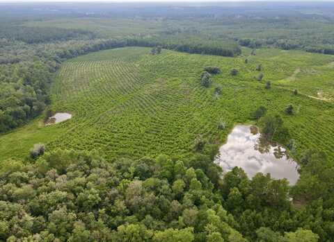 0 Neely Avera, Neely, MS 39461