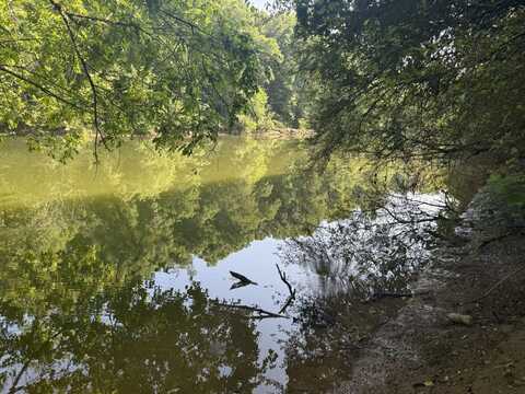 0 Lotta River Road, Sipsey, AL 35584