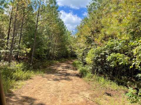 0 Carver Point Rd, Coffeeville, MS 38922