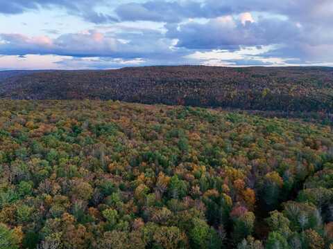 00 Tuthill Rd., Barryville, NY 12719