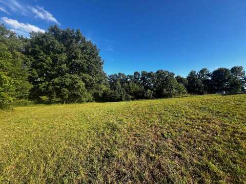 0 Old Saltworks Rd., Meadowview, VA 24361