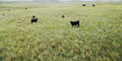 755.90 +/- Acres, Arnold, NE 69120