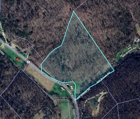 0 Raccoon Creek Road, Branchland, WV 25506