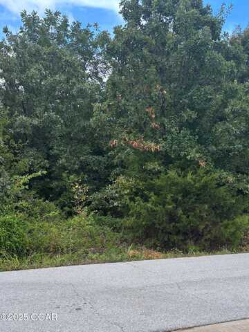 Xxx Appaloosa Way, Loma Linda, MO 64804