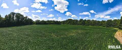 0 County Road 2300 E Road, Hindsboro, IL 61930