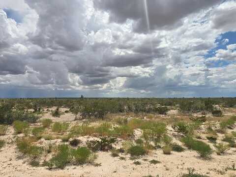 FM 2119, Orla, TX 79855