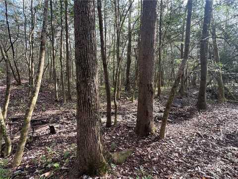 31 Kings Way, Seale, AL 36875