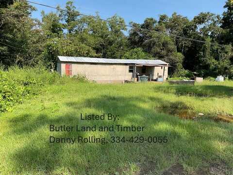 499 Petrey Hwy, Luverne, AL 36049