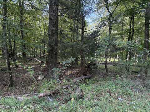 Lot 59 Shine Road, Henryville, PA 18332
