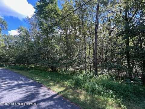 Lot 20alas Piney Woods Drive, Jim Thorpe, PA 18229