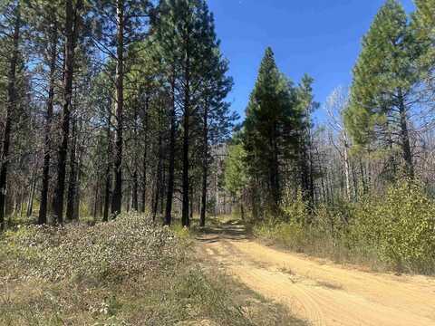 319 Round Valley Road, Greenville, CA 95947