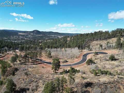 1380 blue Haven Place, Woodland Park, CO 80863