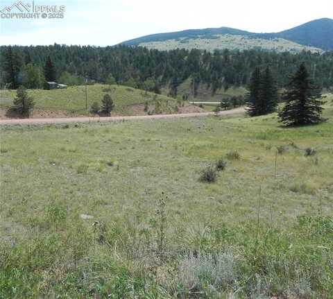 53 Nickel Plate Road, Cripple Creek, CO 80813
