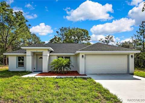 11001 N Harriet Way, Citrus Springs, FL 34434