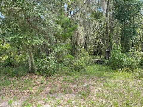 SW Shorewood Drive lot: 15, 16, Dunnellon, FL 34431