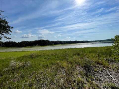 SW Shorewood Drive lot: 13, 14, Dunnellon, FL 34431