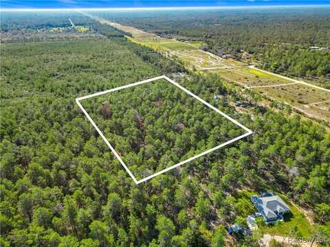 5244 W Capetown Lane, Dunnellon, FL 34433