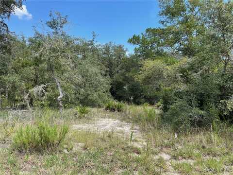 SW Shorewood Drive lot: 462, 463, Dunnellon, FL 34431
