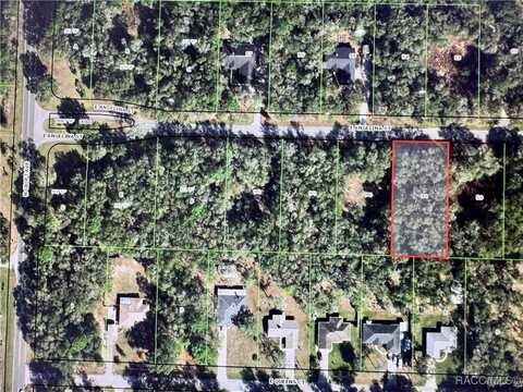 3054 E Angelina Street, Inverness, FL 34453