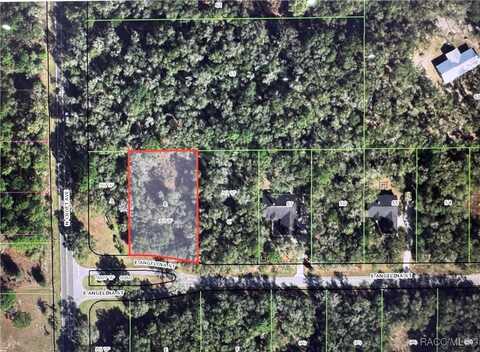2943 E Angelina Street, Inverness, FL 34453