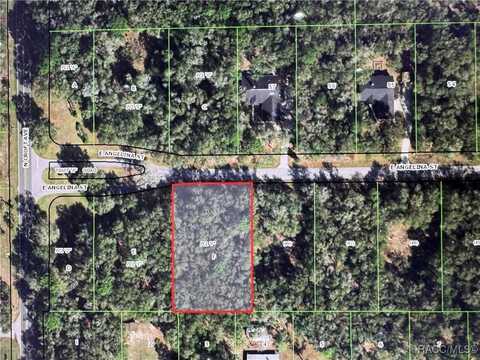 2962 E Angelina Street, Inverness, FL 34453