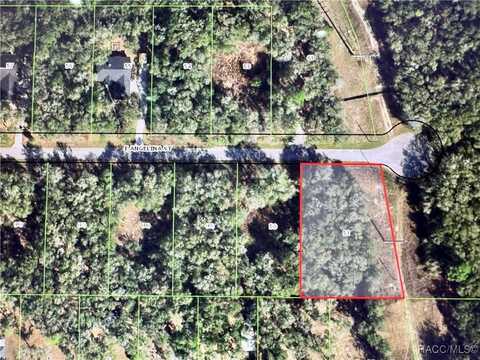 3078 E Angelina Street, Inverness, FL 34453