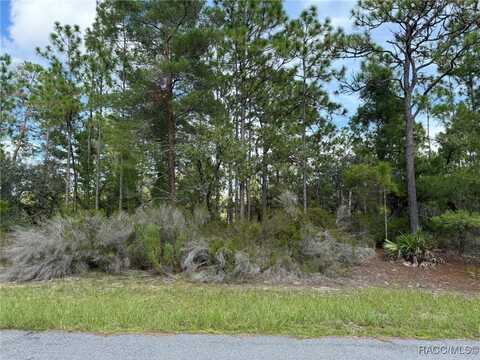11127 N Trigger Terrace, Citrus Springs, FL 34433