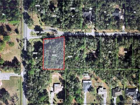 2944 E Angelina Street, Inverness, FL 34453