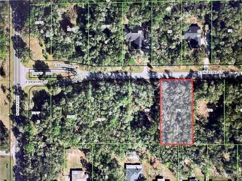 3016 E Angelina Street, Inverness, FL 34453
