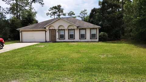 7943 N Tiny Lily Drive, Citrus Springs, FL 34434