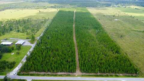 TBD Borders Rd, Wewahitchka, FL 32465