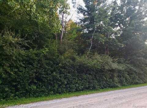 0 0 Puttygut Road, Casco, MI 48064