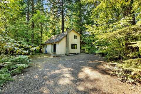 174 Northwoods, Cougar, WA 98616