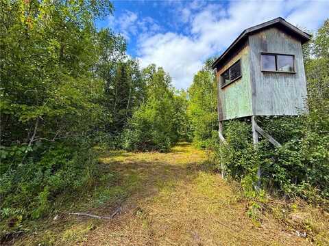 Xxx 350th Avenue, Hill City, MN 55748