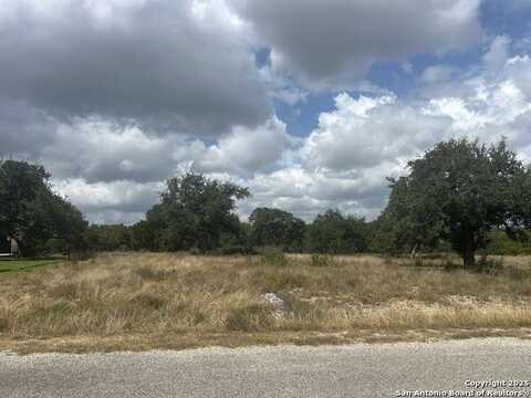 108 Riley Wood, Blanco, TX 78606