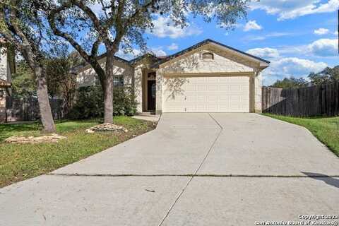 1259 Lion Forrest, San Antonio, TX 78251