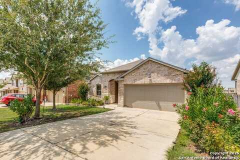 445 red morganite, Buda, TX 78610