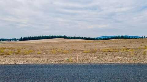 10604 S Jackson Rd, Mica, WA 99023