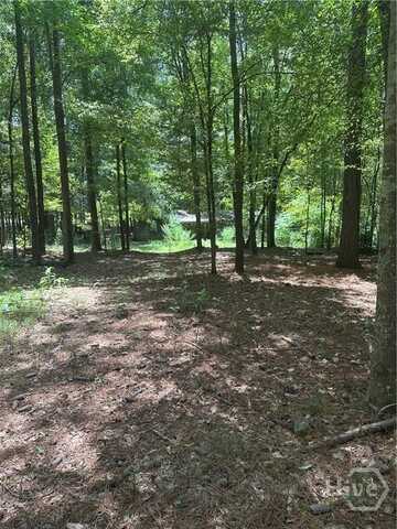 1144 Wolfskin Road, Arnoldsville, GA 30619