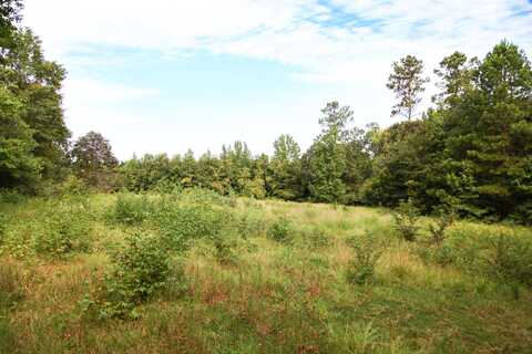6330 Catchall Road, Dalzell, SC 29040