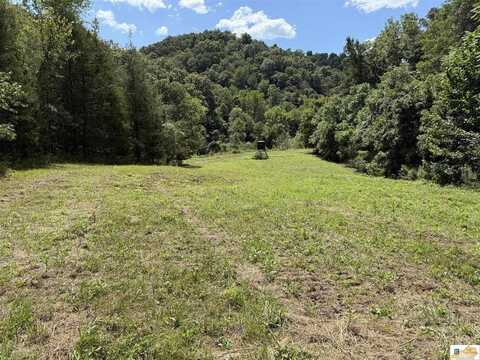 Albany Road, Burkesville, KY 42717