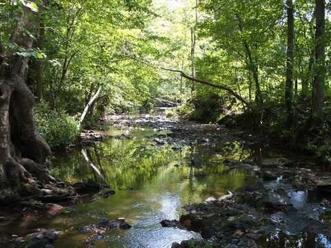 Firetower Road, Lunenburg, VA 23952
