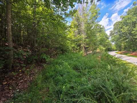 Craftons Gate Highway, Drakes Branch, VA 23937