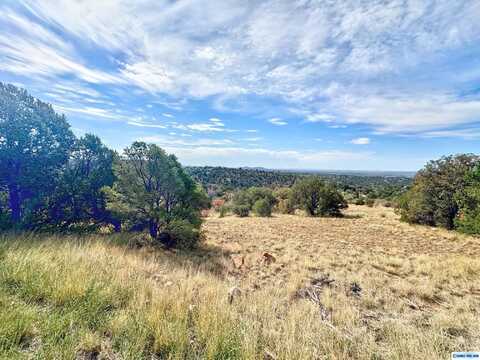 Wendy Road, Silver City, NM 88061