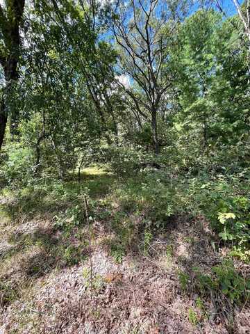 Lot 29 Fawn Lane, Coloma, WI 54930