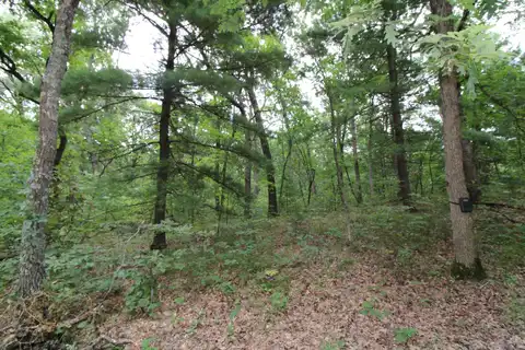 Lot 29 Fawn Lane, Coloma, WI 54930