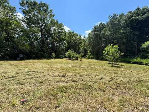 Lot 4 BOSTON RD, PAINTER, VA 23420