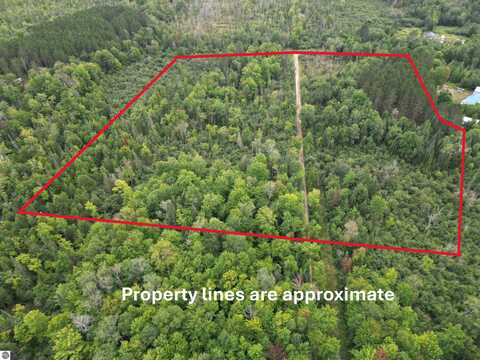 10.11 Acres Golden Road, SE, Kalkaska, MI 49646